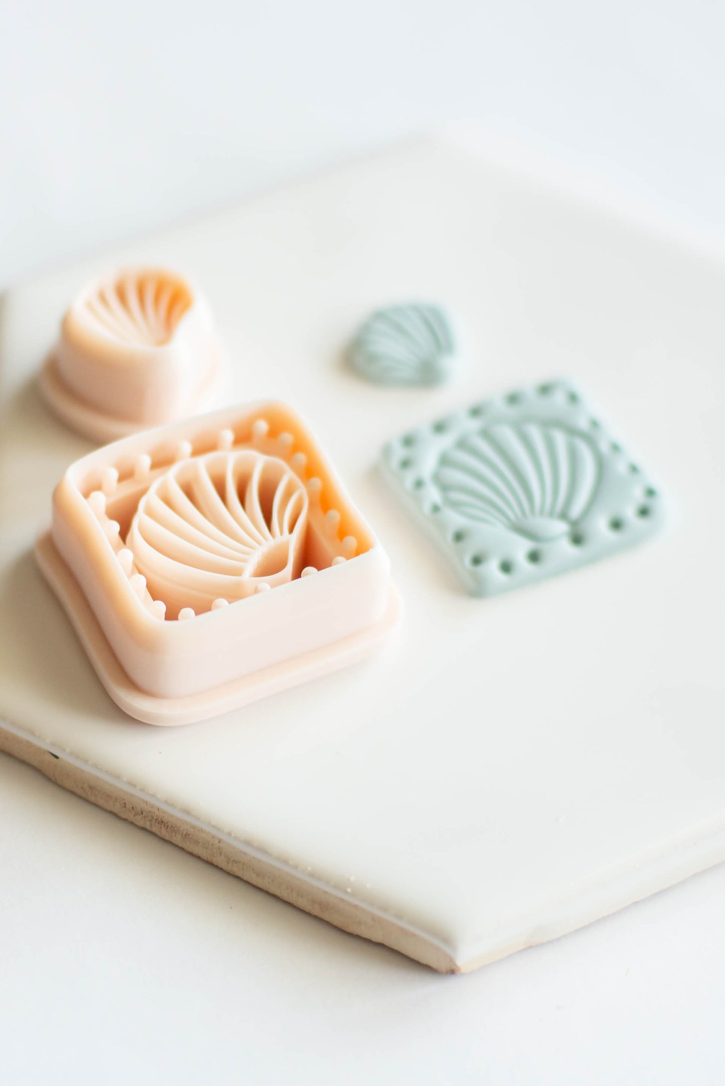 Dotted Shell Cutter Set- *Large