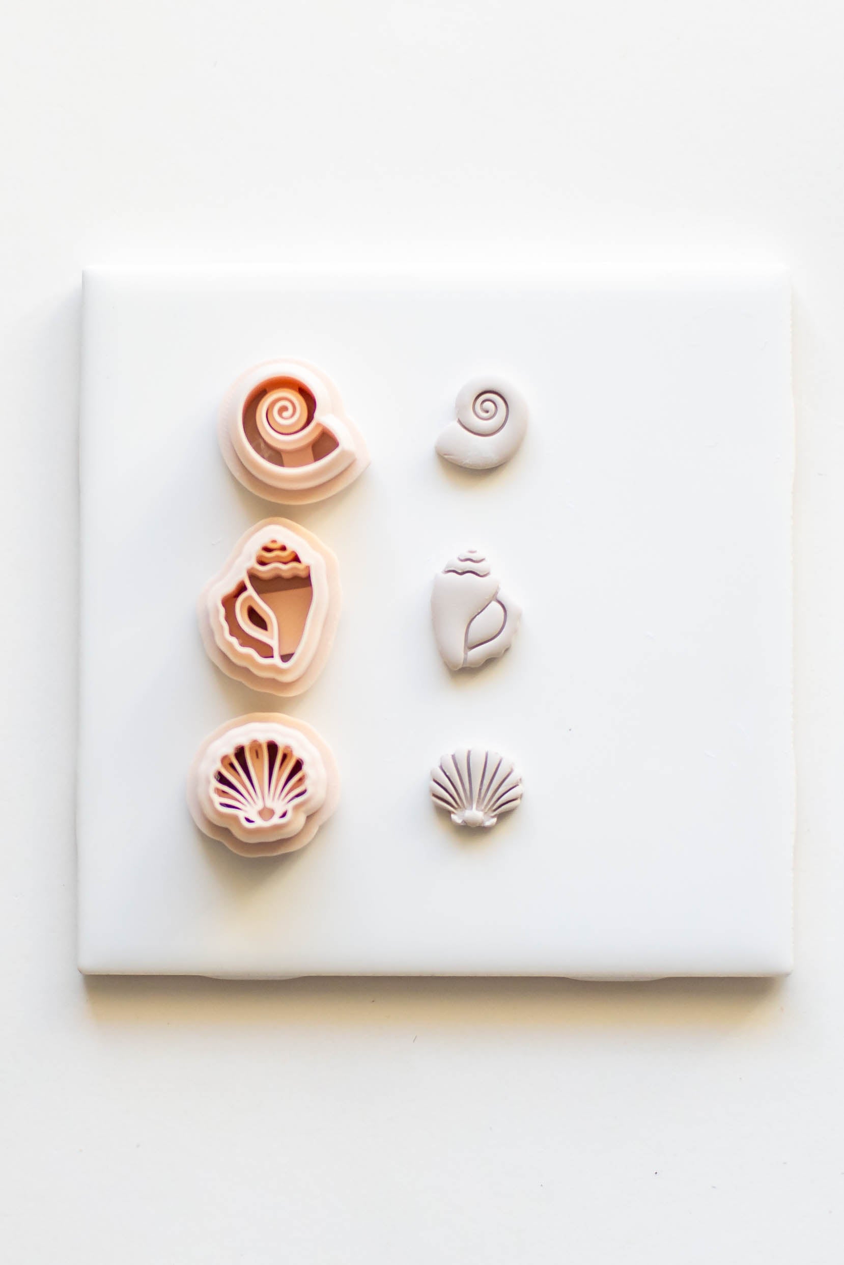 Shell Cutters Set of 3 – Blushes and Neutrals