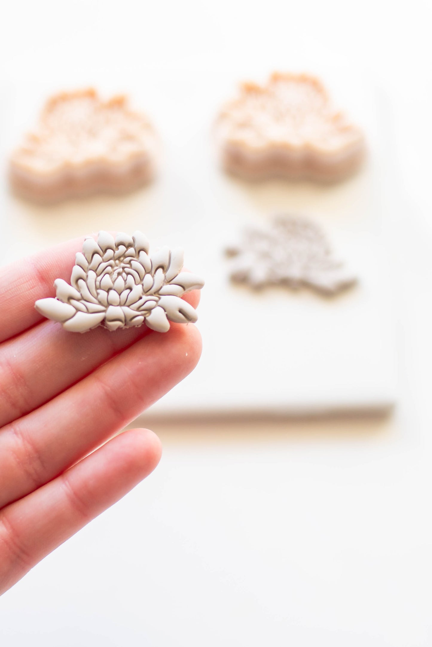 Chrysanthemum Clay Cutter