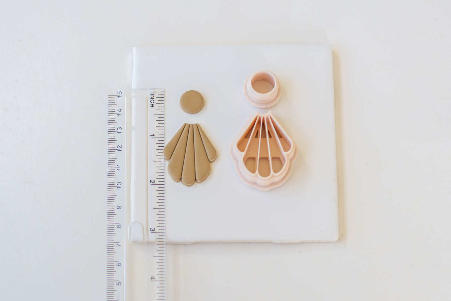 Long Scallop Cutter