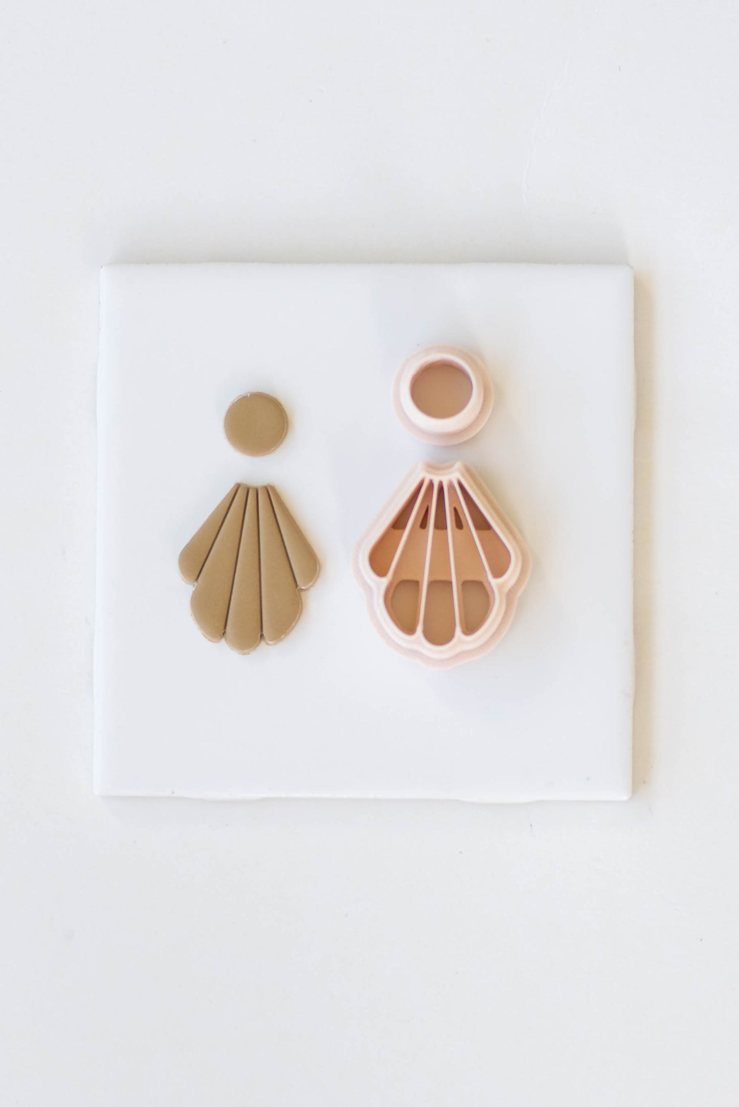 Long Scallop Cutter