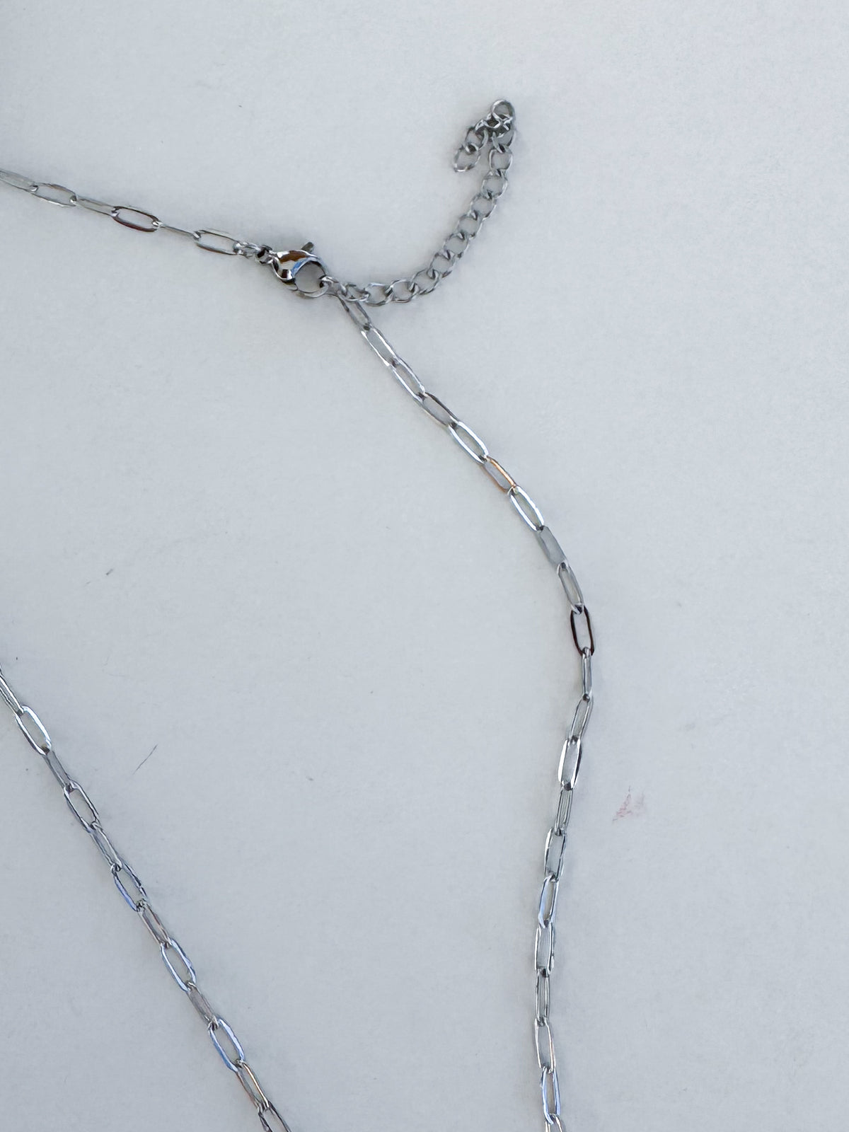Stainless Steel Necklace with Carabiner- 18 inches + 2 inch connector