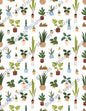 TP69- Plant Transfer Paper